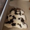 Lambland Eco Tanned Sheepskins | Eco Tanned Luxury Dyed Jacob Sheepskin