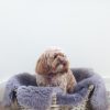 Owen Barry British Sheepskins | Sheepskin Pet Rugs