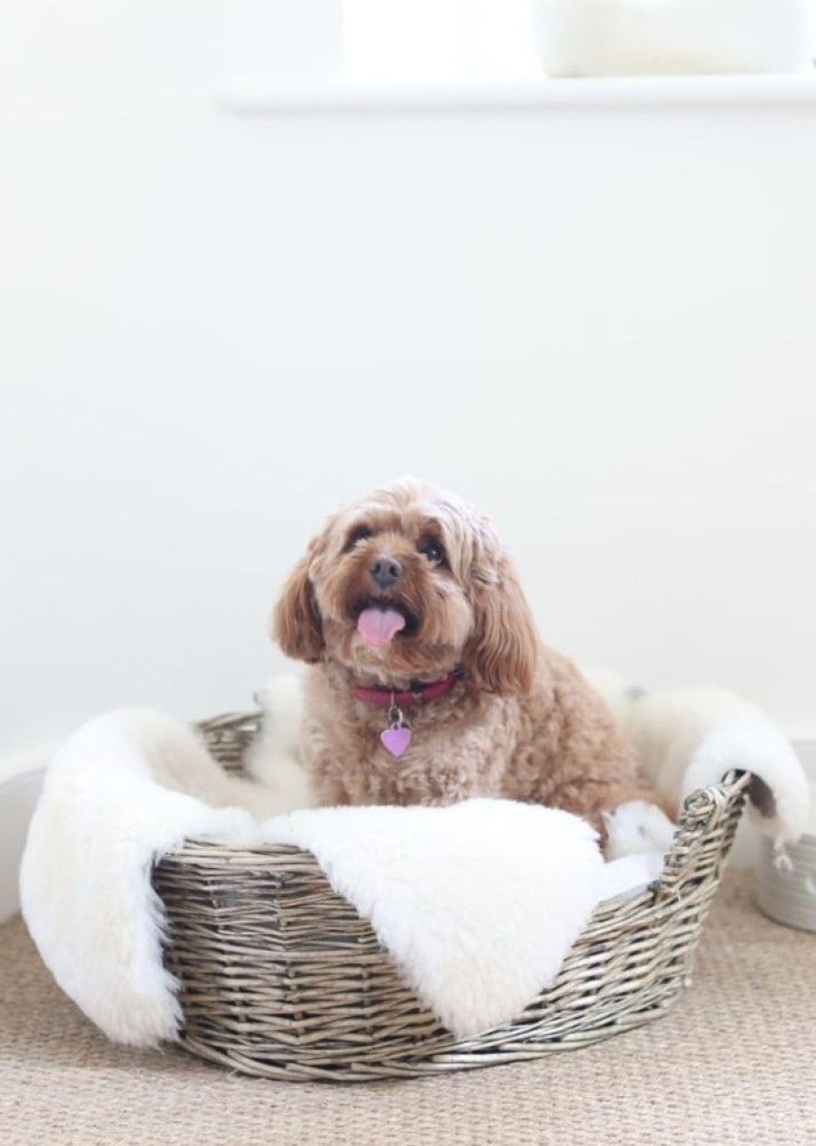 Owen Barry British Sheepskins | Sheepskin Pet Rugs