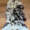 Lambland One Off Sheepskins | Super Size Rarebreed Special Ll2