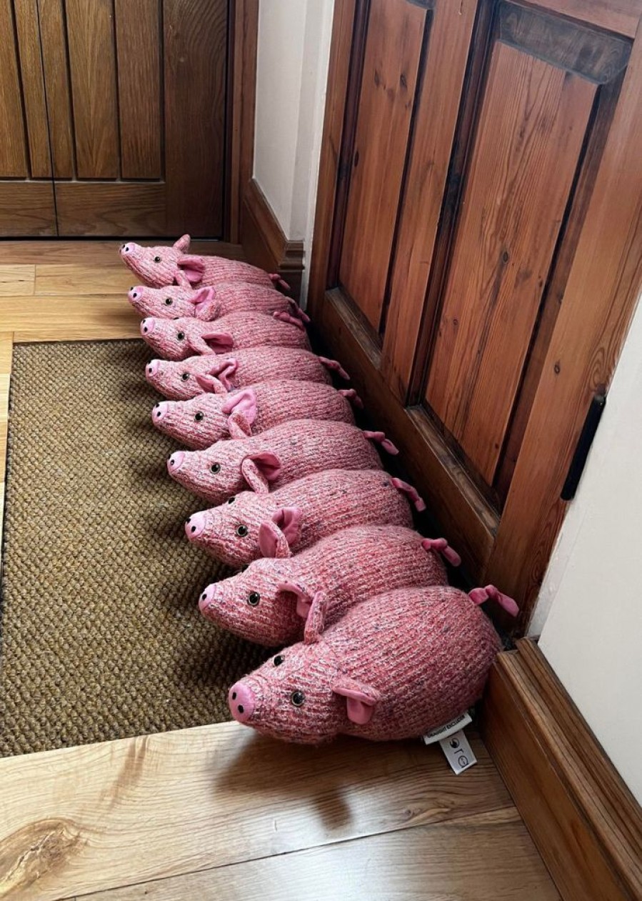 Dora Designs Doorstops & Draught Busters | Piglet Draught Excluder