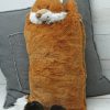 Jomanda Cushions & Hot Water Bottles | Fox Pyjama Case & Hot Water Bottle Cover